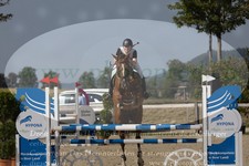 ref. photo 3319038