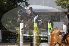 ref. photo 3319127