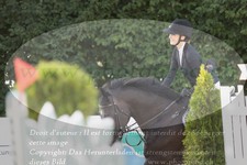 ref. photo 3319128