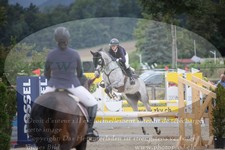 ref. photo 3319139