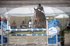 ref. photo 3319357