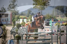 ref. photo 3319960