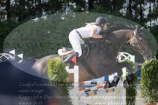 ref. photo 3320016