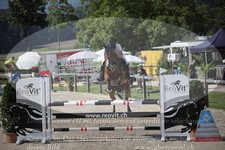ref. photo 3320117