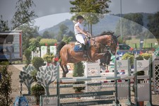 ref. photo 3320120