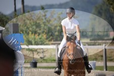 ref. photo 3320183