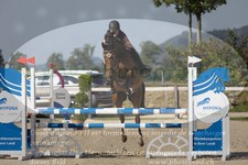 ref. photo 3320265