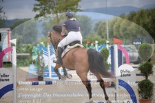 ref. photo 3320279