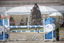 ref. photo 3320307