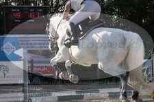 ref. photo 3320451