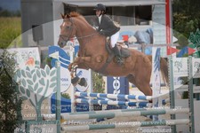 ref. photo 3320527
