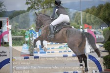 ref. photo 3320612