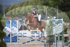 ref. photo 3320617