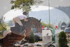 ref. photo 3320671