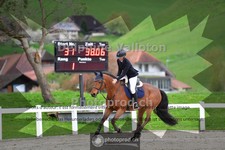 ref. photo 4015442