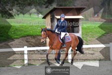 ref. photo 4015999