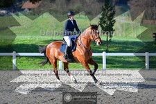 ref. photo 4016191