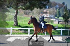 ref. photo 4016274
