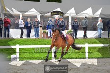 ref. photo 4016370