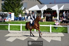 ref. photo 4016471