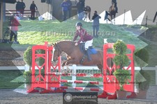 ref. photo 4016740