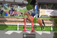 ref. photo 4016804