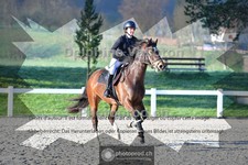 ref. photo 4016820