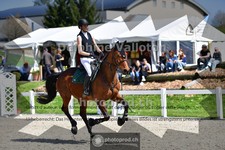 ref. photo 4016846
