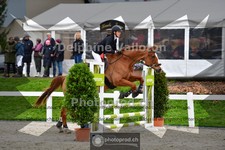 ref. photo 4016863