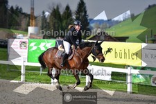 ref. photo 4017031