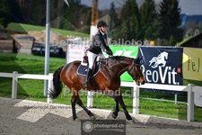 ref. photo 4017194