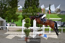 ref. photo 4017196