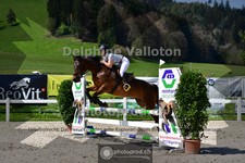 ref. photo 4017344