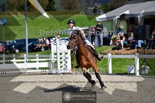 ref. photo 4017347