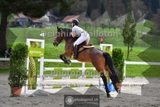 ref. photo 4017351