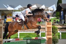 ref. photo 4017354