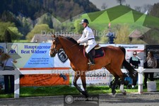 ref. photo 4017601