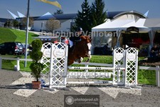ref. photo 4017649