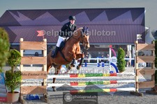 ref. photo 4017694