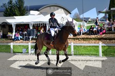 ref. photo 4017725
