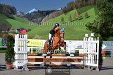 ref. photo 4017817