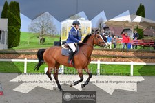 ref. photo 4017905