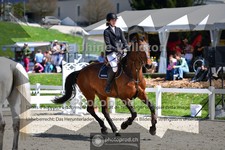 ref. photo 4018074