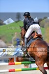 ref. photo 4018078