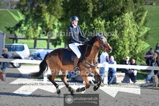 ref. photo 4018200