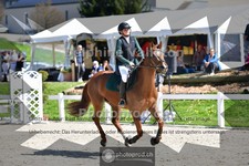 ref. photo 4018899