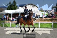 ref. photo 4019035