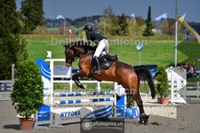 ref. photo 4019037