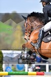 ref. photo 4019039