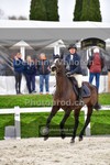 ref. photo 4019100